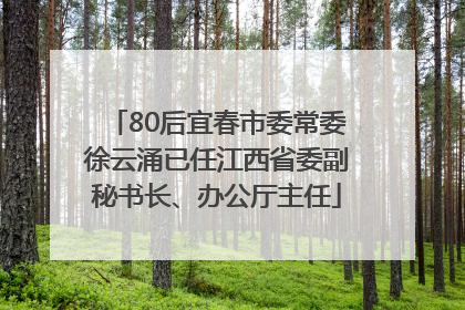 80后宜春市委常委徐云涌已任江西省委副秘书长、办公厅主任