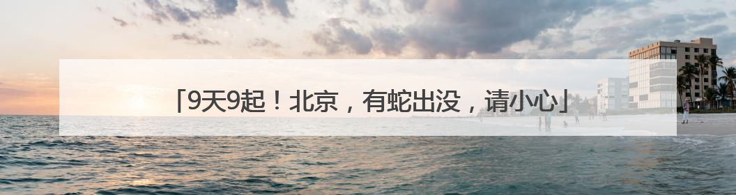 9天9起！北京，有蛇出没，请小心