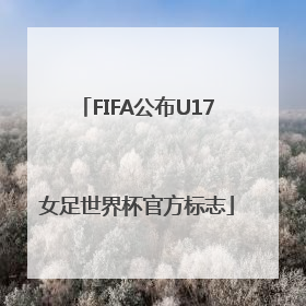 FIFA公布U17女足世界杯官方标志